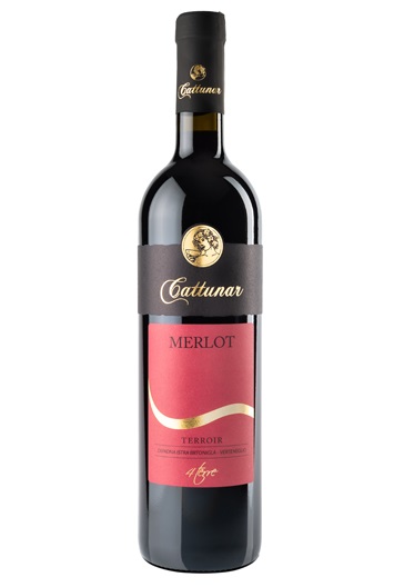 [20103] Cattunar Merlot